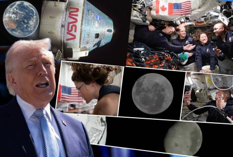 Donald Tramp Artemis