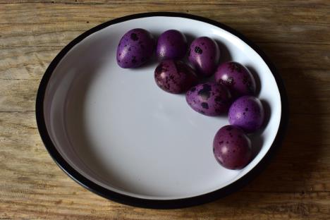 jaja, uskršnja jaja, farbanje jaja