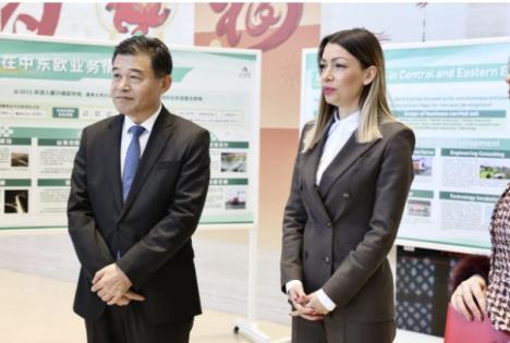 2026-04-07 17_36_15-WhatsApp.png