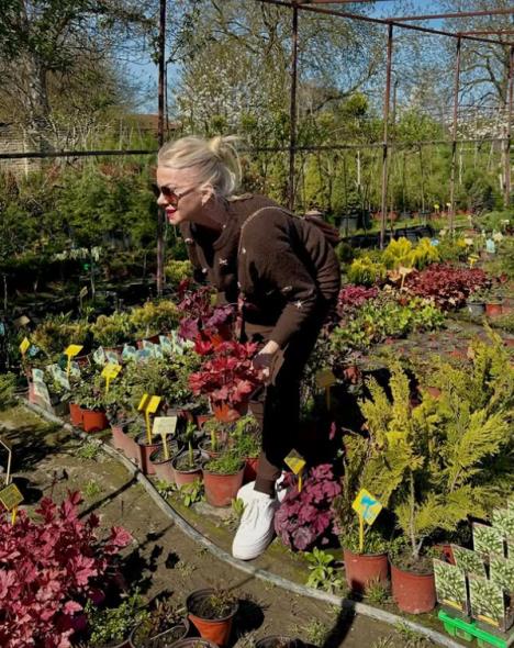 Mirjana Memedović u rasadniku bira biljke za imanje i vikendicu u Apatinu.PNG