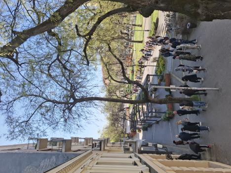 Sombor redovi za karte.jpg