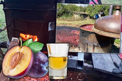 lampek šljiva rakija