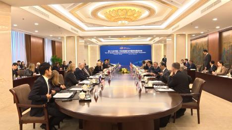 Jagoda Lazarević u Kini