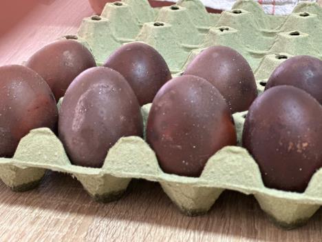 1775809004Jaja Rina – godišnjica bombardovanja – foto J. Nikolić (7).jpeg