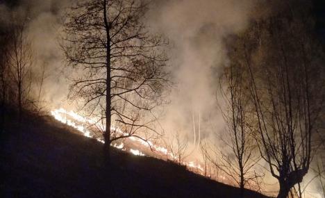 šumski požar Bijelo Polje