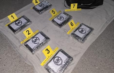 droga, kokain, Novi Sad