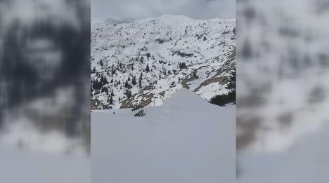 Screenshot 2026-04-14 131338.png