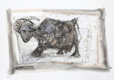 Mirsad Begić - Koza.JPG