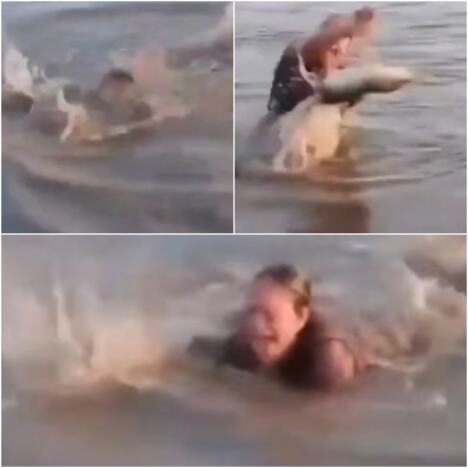 Žena u vodi u panici baca mladog aligatora nakon što je pomislila da je dohvatila komad drveta.jpg