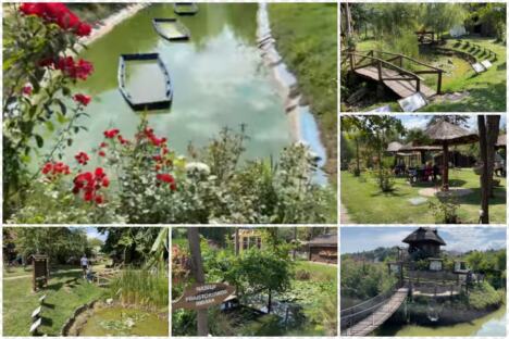 Mali Dunav Radmilovac.jpg