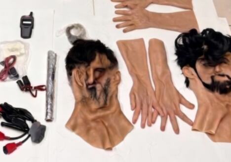 Pink Panter, hapšenje, Italija