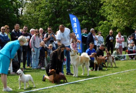 GORNJA KOVILJAČA - Ovako je bilo.JPG