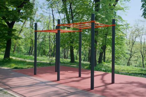 Trim staza na Košutnjaku