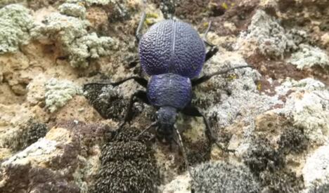 Screenshot 2026-04-21 140152.png