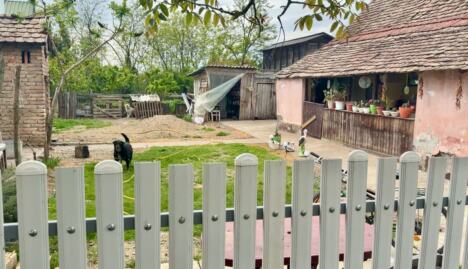 Ubistvo u Hrtkovcima