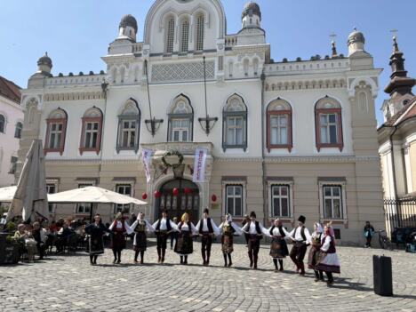 TO Veliko Gradiste4.jpeg