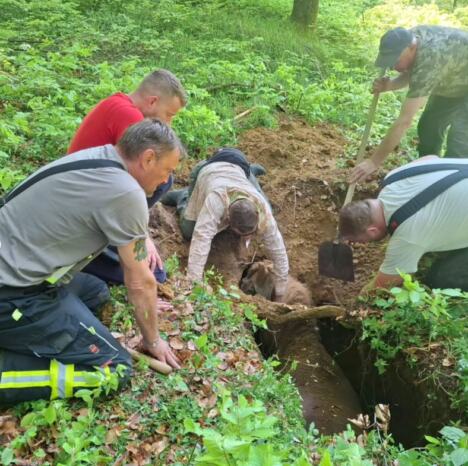 Screenshot 2026-04-21 172823.jpg