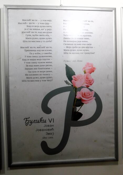 TRŠIĆ - Cveće u pesmama.jpg