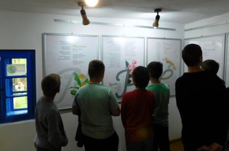 TRŠIĆ - Poseta.jpg