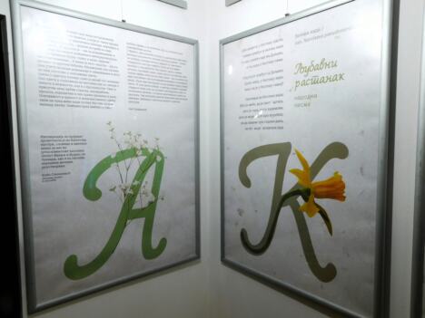 TRŠIĆ - Cveće kao inspiracija.jpg