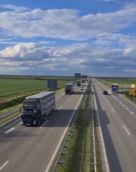 izvoz jagnjadi Libija