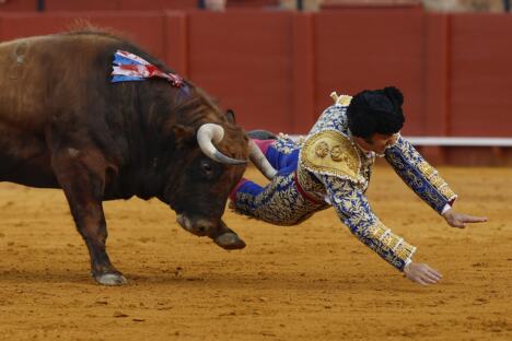 matador Španija (9).jpg