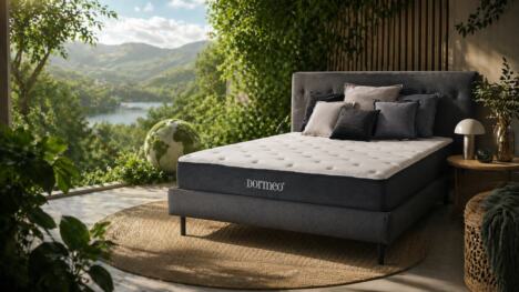 Dan planete & Dormeo.png