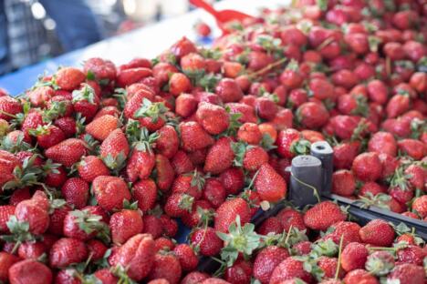 sveže jagode na pijaci