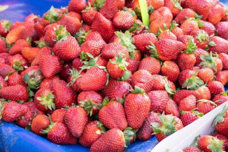 sveže jagode na pijaci