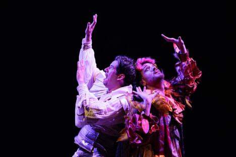 Čarobna frula 25.jpg