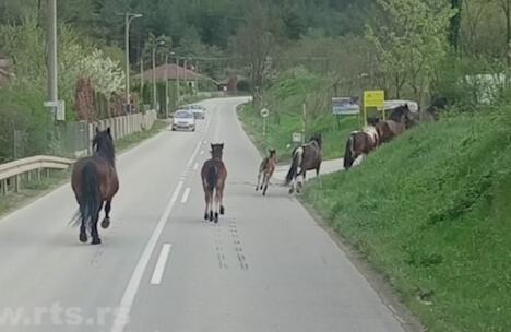 Screenshot 2026-04-22 185136.png