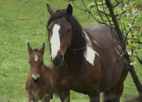 Screenshot 2026-04-22 185119.png