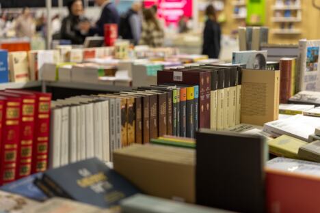 Sajam knjiga Skoplje Nikola Selaković (5).jpeg