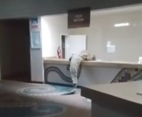 Screenshot 2026-04-25 201812.jpg