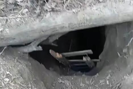 Merdevine Fruška Gora