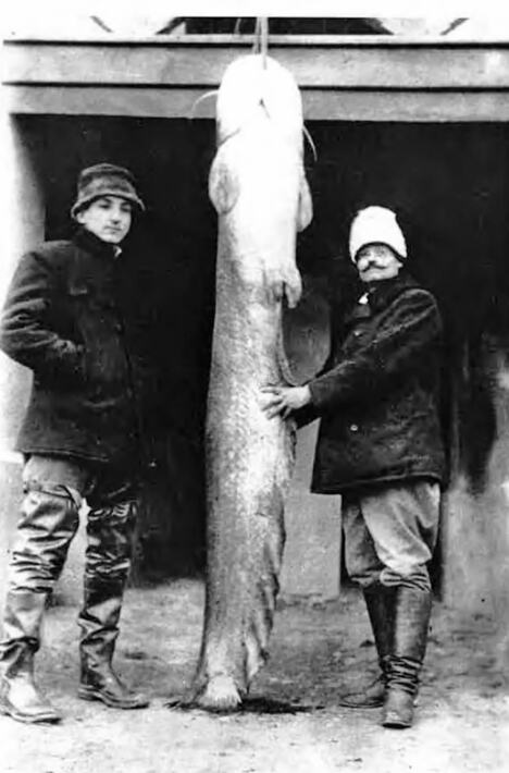 Istorijska čitanka (5).jpg