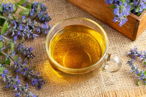 Šolja čaja sa svežom biljkom ajugom ili ivicom