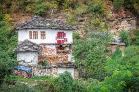 Gostuša - Milan Simonovic.jpg