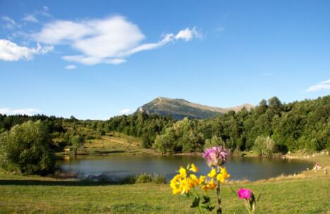 Vrmdža - autor Milena Radosavljević.jpg