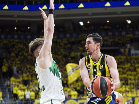 Fenerbahče - Žalgiris