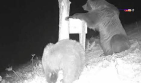 Screenshot 2026-04-29 113726.jpg