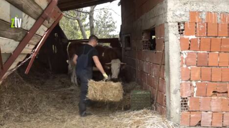 Screenshot 2026-04-29 130454.png