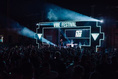 VIBE festival foto Promo  (4).jpg