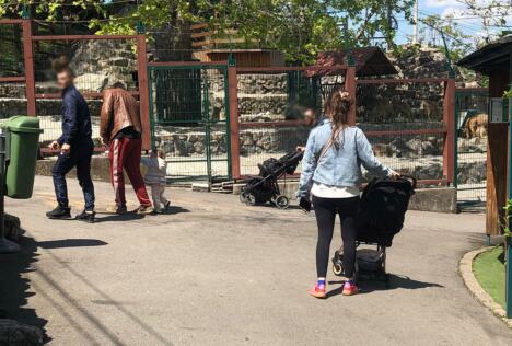 Goran Bogdan, Jovana Stojiljković sa ćerkom u BG Zoo vrtu