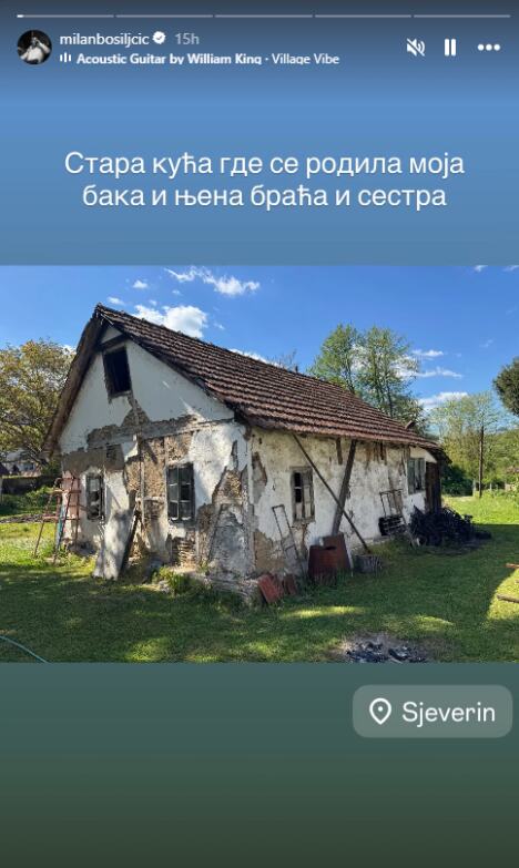 milan bosiljcic.png