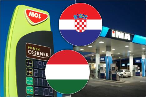 mol ina.jpg