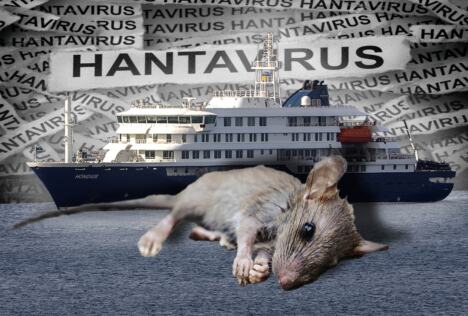 MV Hondius hantavirus