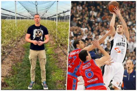 tripkovic.jpg
