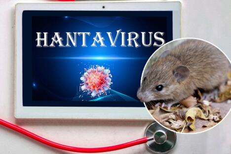 tablet na kome piše hantavirus i stetoskop/miš
