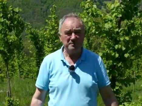 Radisav Sekulić